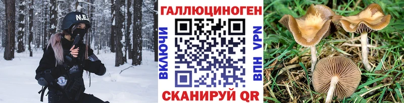 Галлюциногенные грибы MAGIC MUSHROOMS  купить  сайты  Абакан 